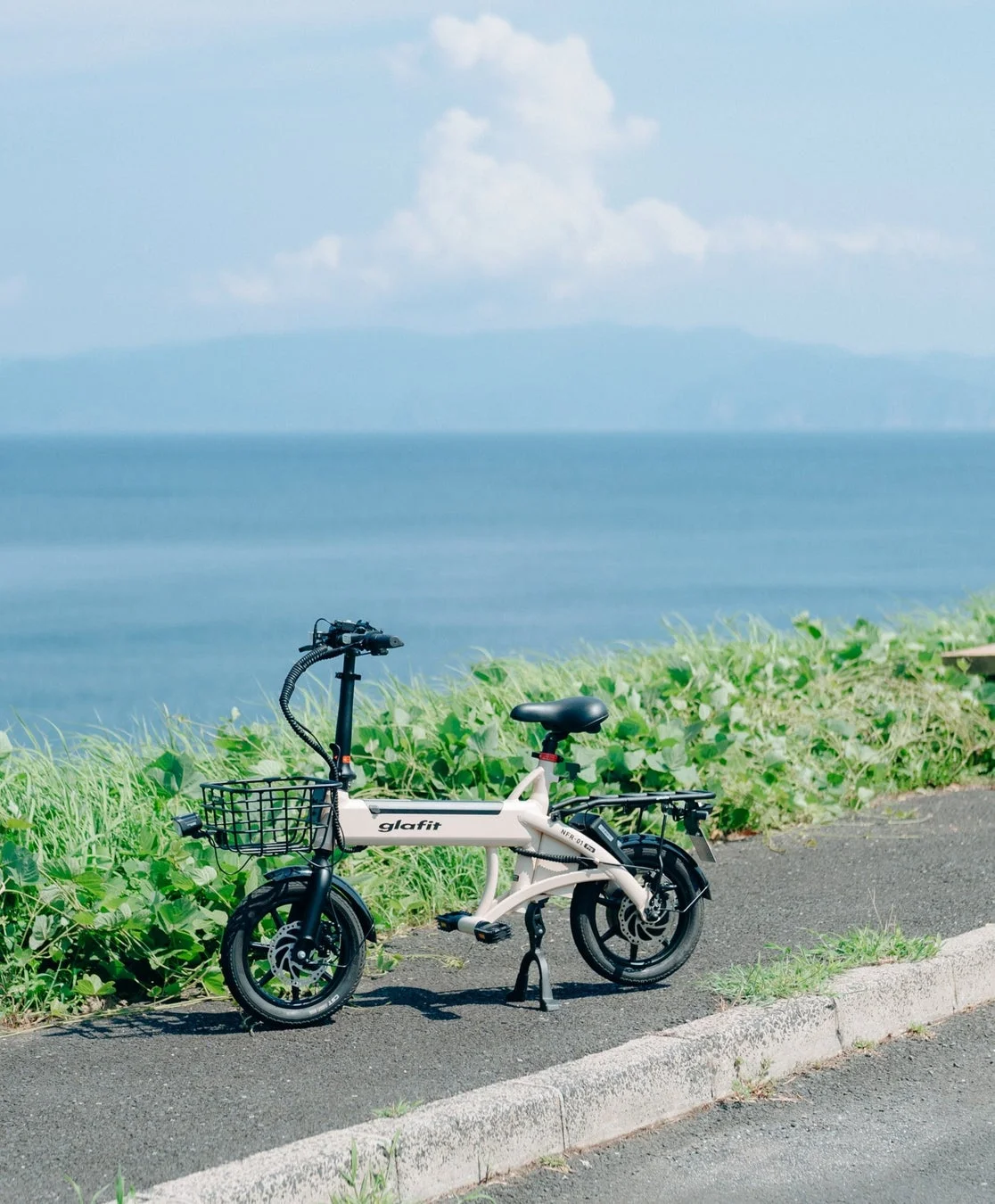 WANDERIDE AMA導入概要