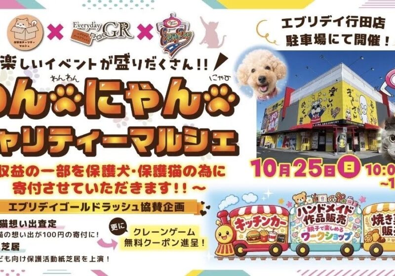 保護犬・保護猫を通じて、子どもたちに「いのちの大切さ」を！エブリデイゴールドラッシュが新たな動物愛護教育をスタート！「わんにゃんチャリティーマルシェ」10月25日開催