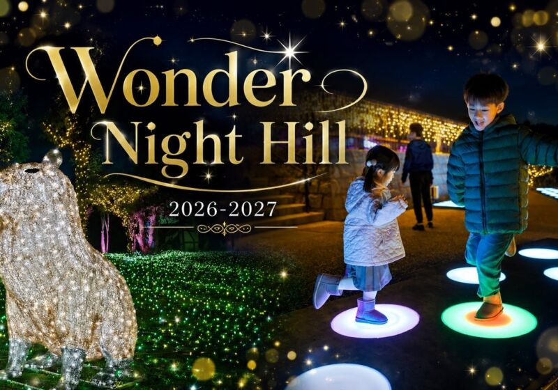 100万球を超える光が農業公園を彩る　ハーベストの丘「Wonder Night Hill 2026-2027」、シルバニアファミリーとのコラボも